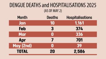 Dengue Deaths and Hospitalisations 2025