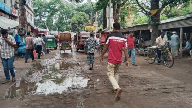 tangail.jpg