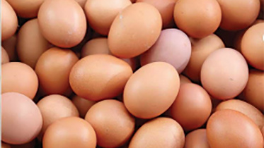 eggs.jpg