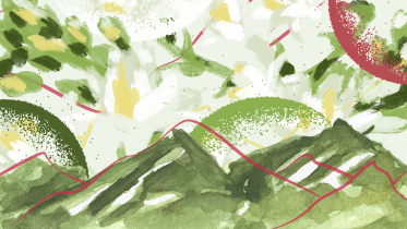 Graphical representation of the fleeting nature of spring