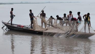 teesta.jpg