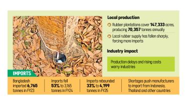 Bangladesh rubber imports rise 33 percent FY25