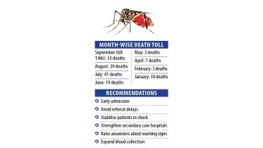 dengue outbreak Bangladesh 2025