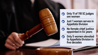 higher_judiciary.png