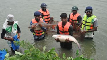 Fisheries-3