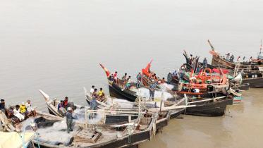 illegal_hilsa_fishing.jpeg
