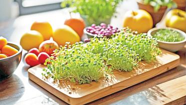 health.jpg