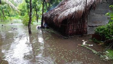 sarankhola-bagerhat.jpg