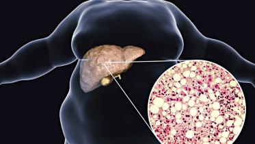 health.jpg