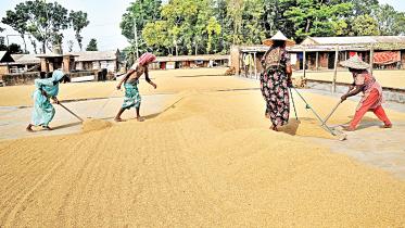 automatic-rice-mills-1.jpg