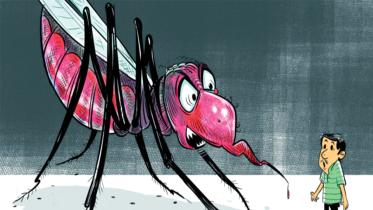 dengue-fatalities.jpg