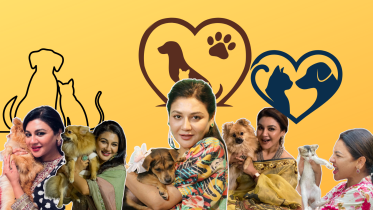 Animal abuse must stop: Jaya Ahsan