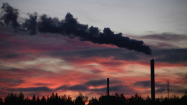 Carbon emissions.png