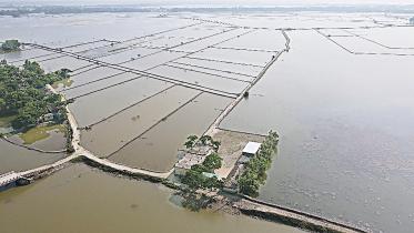 salitinity.jpg