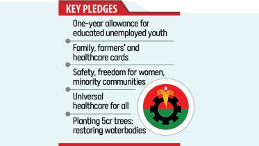 bnp-key-pledge.jpg