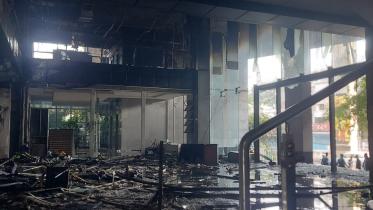 tds_ransacked_2.jpg
