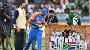 cricket_collage.jpg