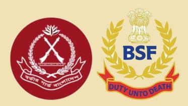 bsf.jpg