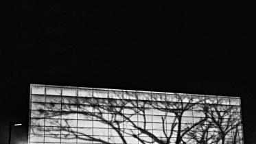 IN THE DEATH THROES