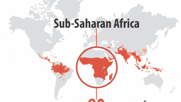 malaria.jpg
