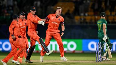Dutch cricket.jpg