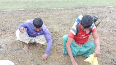 Faridpur and Rajbari onion growers suffering news.jpg