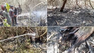 Sundarban fire.jpg