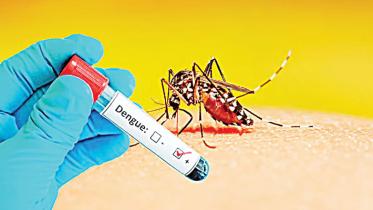 Dengue.jpg