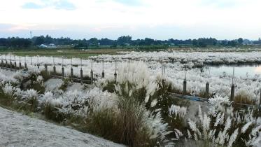 kashful_9d04.jpg