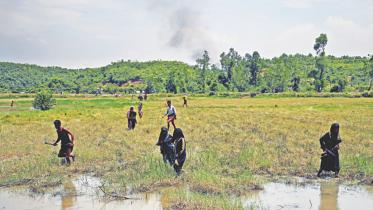 rohingya2_0.jpg