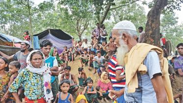 rohingya_crisis