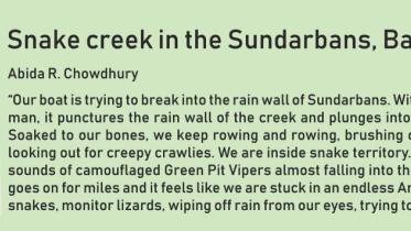 sundarban_1.jpg