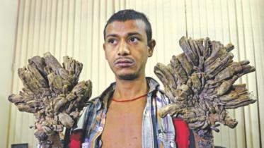 tree man 2.jpg
