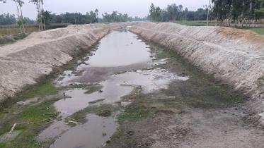 buri-teesta-kurigram.jpg