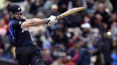 Williamson hammers