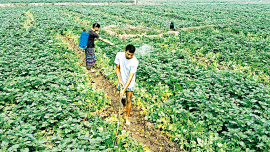 agri.jpg