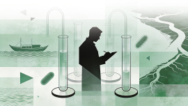 Cover -The obstacles and opportunities- Career prospects for environmental science graduates.jpg
