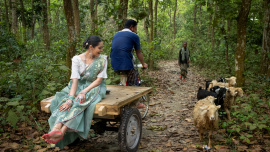 Madhupur travel experience shows the true beauty of community tourism