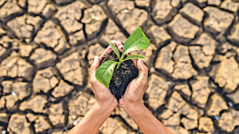 climate-change.jpg