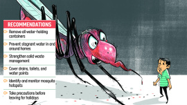 dengue-risk-new.jpg