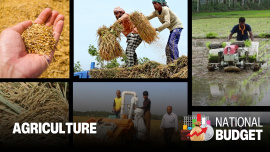 AGRICULTURE (2).jpg