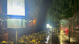 Monsoon_Tousef.jpeg
