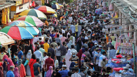 ED1-Population.jpg