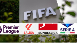 European Leagues.JPG