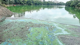 Gulshan-Lake.jpg