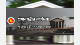 PMO logo 2.png
