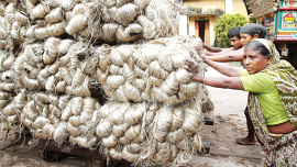 jute-exporters.jpg