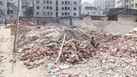 mohammadpur-plot.jpg