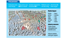 poultry-farmers.jpg