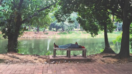 A man rests under